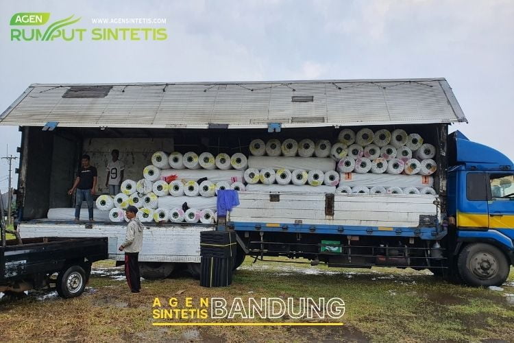 Harga Rumput Sintetis Per roll di bandung